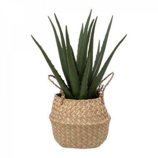 Aloe vera artificiel SORA Beige - Matière plastique - 24 x 37 x 24 cm