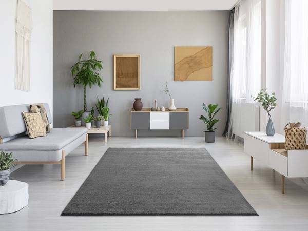 Laagpolig vloerkleed MONTANA grijs - 60 x 120 cm