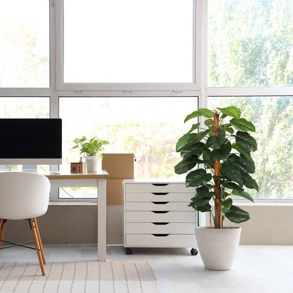 Kunstpflanze EPIPREMNUM Grün - Kunststoff - 67 x 155 x 60 cm