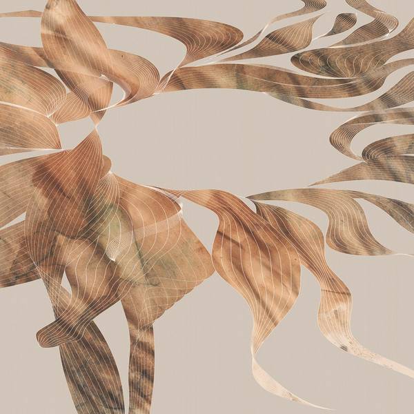 Fototapete 611952 Beige - Papier - 400 x 250 x 250 cm