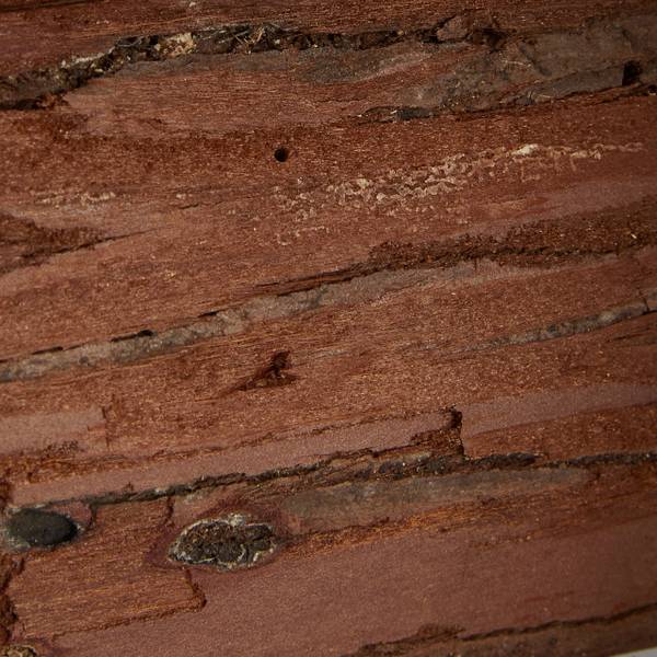 Decoratie vogelhuisje hout bruin - plaatmateriaal op houtbasis - 12 x 17 x 10 cm