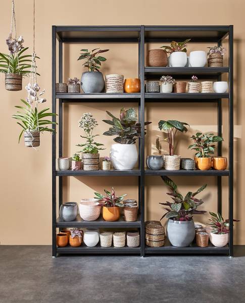 Pflanzkorb Atlantic (3er-Set) Hellbraun