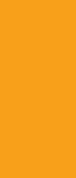 Verdunkelungsrollo AMBER 60 x 140 cm