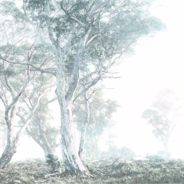 Fototapete 612410 Grün - Papier - 300 x 280 x 300 cm