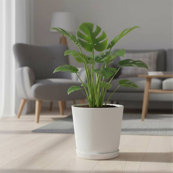 Blumentopf mit Untersetzer 2er Set Weiß