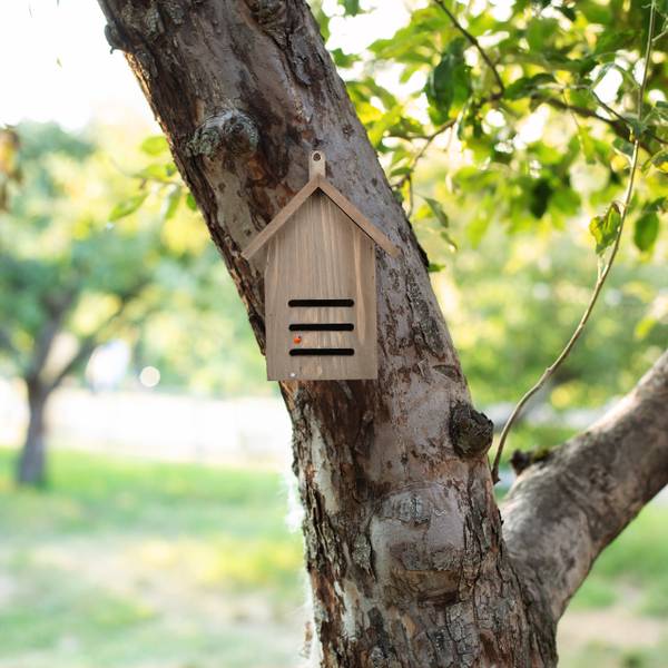 Marienkäferhaus aus Tannenholz braun Braun - Holzwerkstoff - 17 x 22 x 10 cm