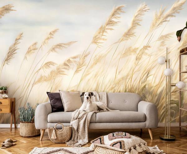 Fototapete Pampasgras Modern Tapete 200 x 140 cm
