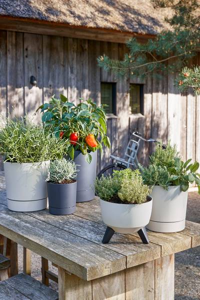 Garten-Pflanzkübel Doppio kaufen