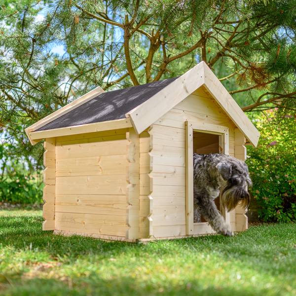 Hundehütte M401-1 Beige - Fichte - 99 x 80 x 76 cm