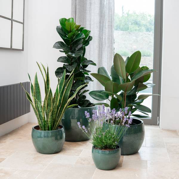 Pflanzkübel Romulus 21 x 15 x 21 cm