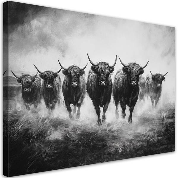 Wandbild schottische kühe 90 x 60 cm