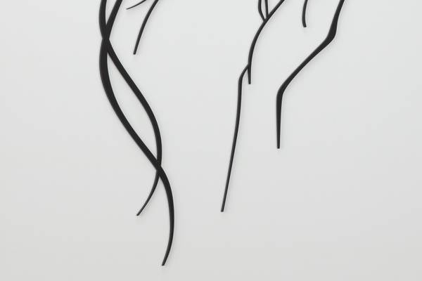 Image encadrée effet 3D Rouge Muse Noir - Blanc - Verre acrylique - 50 x 70 x 3 cm