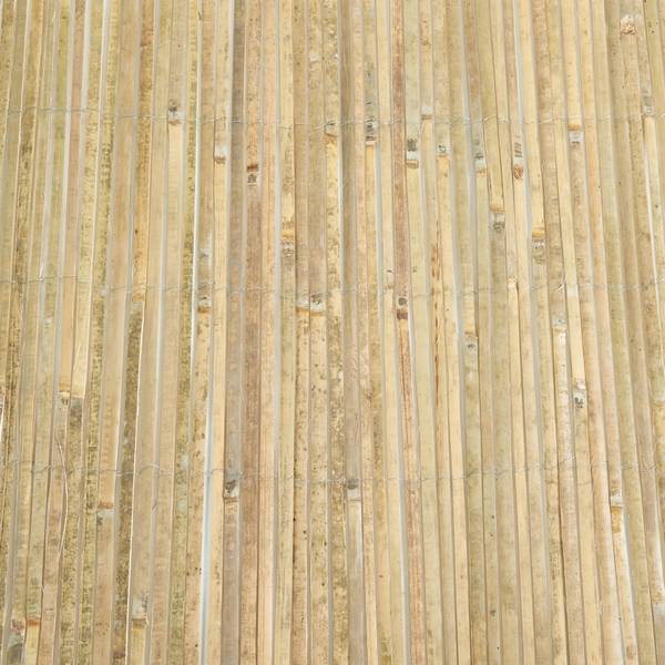 Canisse en bambou Baarle 500 x 150 x 500 cm