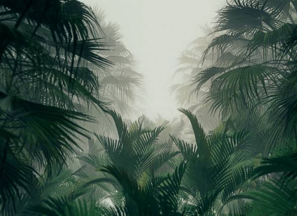 Fotobehang Jungle grijs - groen - wit - vinyl - 350 x 255 x 1 cm