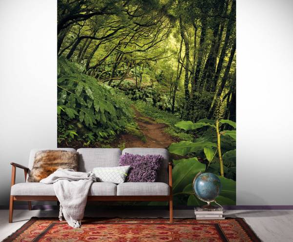 Fototapete 612563 Grün - Papier - 200 x 250 x 200 cm