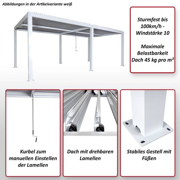 Abri pour voiture L46 Blanc
