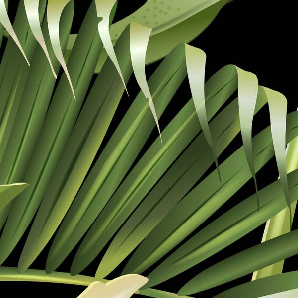 Panorama-Tapete Guyana Grün - Papier - 384 x 300 x 384 cm