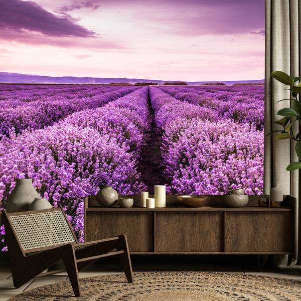 Fototapete Lavendel Wiese Klappe Natur 100 x 70 x 70 cm