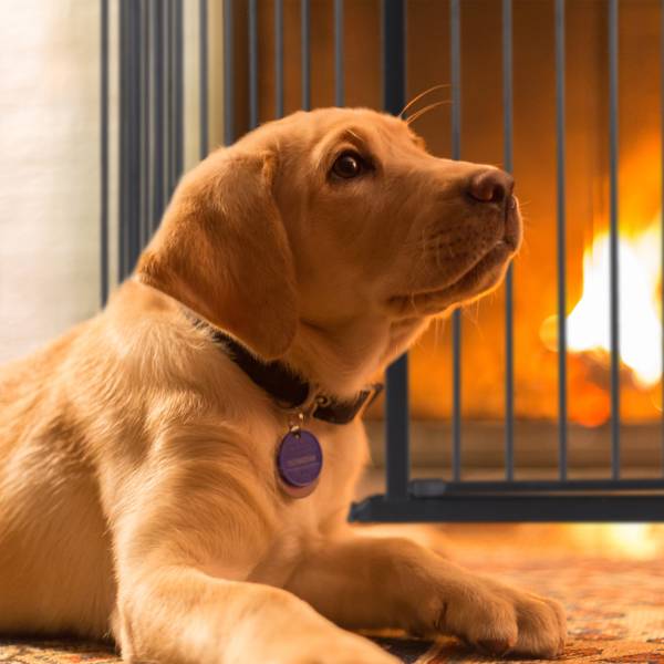 Haardscherm 5 panelen zwart - nylon - staal - 165 x 75 x 94 cm