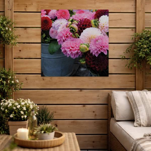 Leinwandbild Dahlia Pink - Baumwollstoff - 50 x 50 x 2 cm