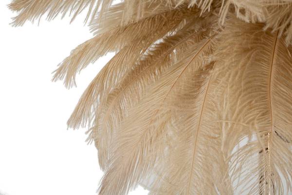 Lampe de table Palm Doré - Métal - 40 x 55 x 40 cm