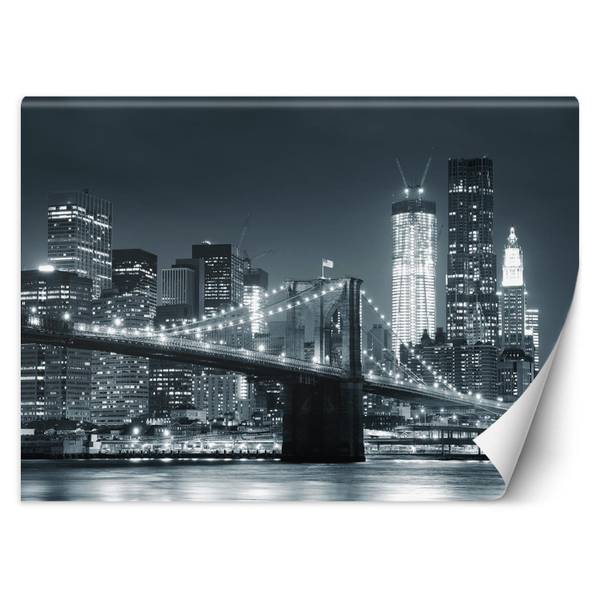 Fototapete NY  Bridge schwarz und weiß 350 x 245 cm