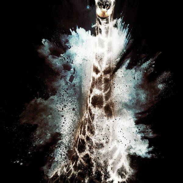 Tableau wild explosion girafe Fibres naturelles - 80 x 120 x 4 cm