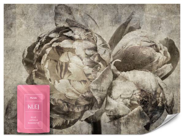 Fototapete Blumen Pfingstrosen Beton 200 x 140 x 140 cm