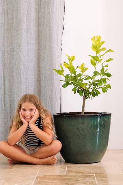 Blumentopf Lancelot 47 x 41 x 47 cm