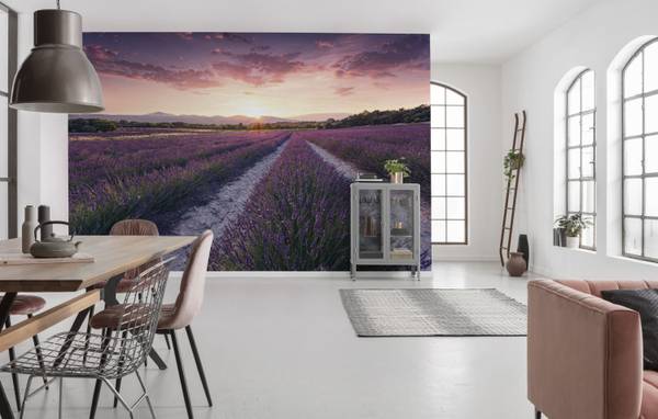 Fototapete 612638 Violett - Papier - 450 x 280 x 280 cm