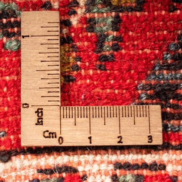 Orientteppich Läufer Nomadic Rot - Wolle - 78 x 1 x 312 cm