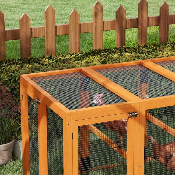 Hühnerstall D51-421V00OG Orange - Massivholz - 85 x 81 x 140 cm