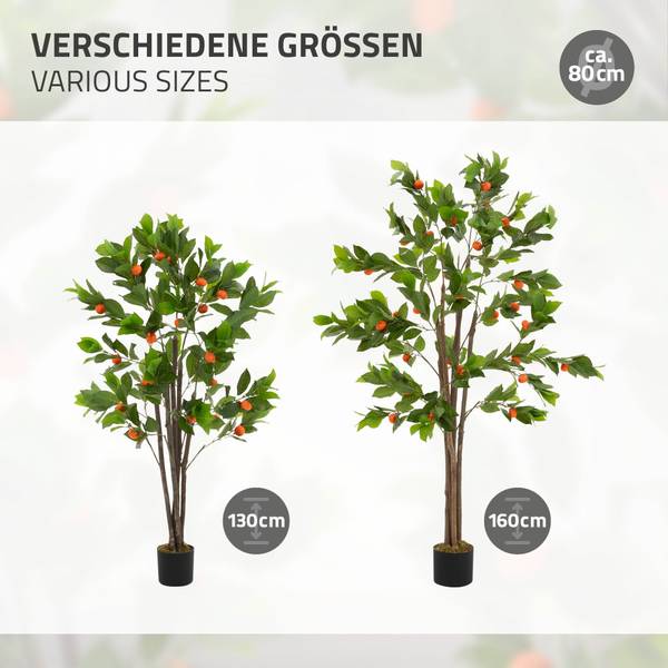 Orangenbaum MILANO Höhe: 160 cm