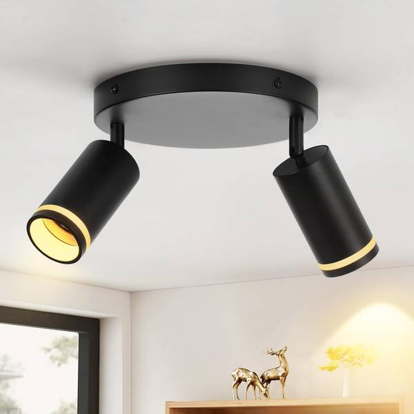 spot plafond LED Rfktt Noir - Noir brillant - Nb d'ampoules : 2
