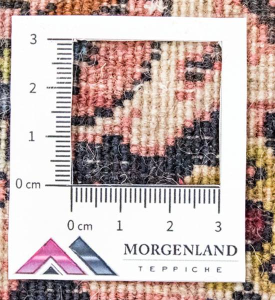 Orientteppich Oriental Rot - Wolle - 170 x 2 x 255 cm