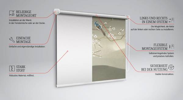 Rolgordijn PASSERO 60 x 140 cm