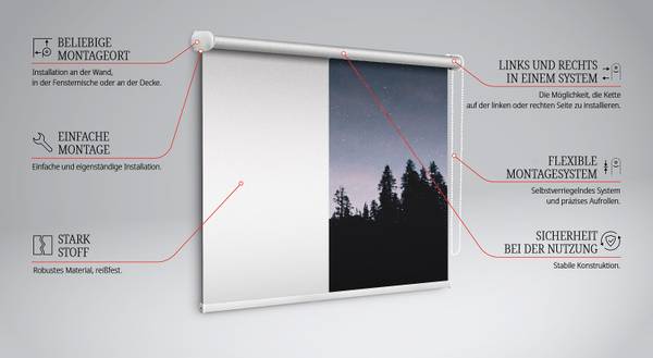 Rolgordijn ASTRAEA 60 x 140 cm