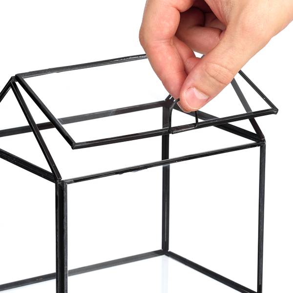 Planten terrarium van glas voor binnen zwart - transparant glas - 16 x 16 x 12 cm