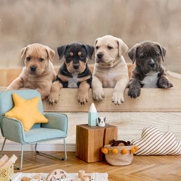 Papier Peint Chiens Famille Chiots 150 x 105 x 105 cm