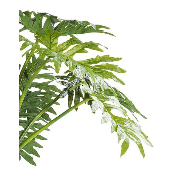 Deko Pflanze Big Monstera kaufen | home24