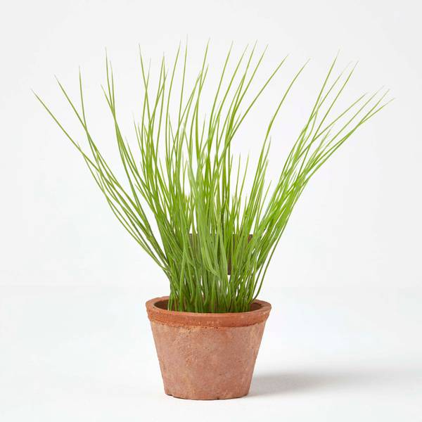 Ciboulette Artificielle AP1551 Vert - Polyéthylène - 10 x 28 x 28 cm