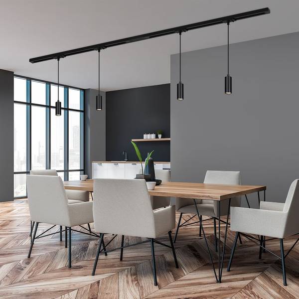 Pendelleuchte Schienensystem 8016045 Schwarz