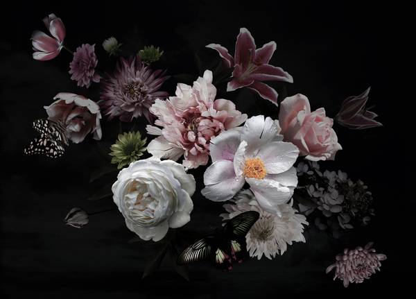 Fototapete Blumen Schmetterling Schwarz - Grün - Orange - Pink - Violett - Weiß - Gelb - Vinyl - 350 x 255 x 1 cm