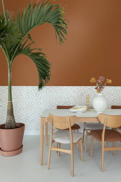 Wandfarbe matt 191031 Orange - Papier - 1800 x 100 x 1800 cm