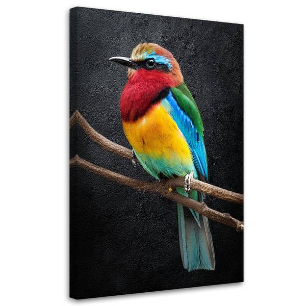 Wandbild Bunter Papagei Tiere 60 x 90 cm