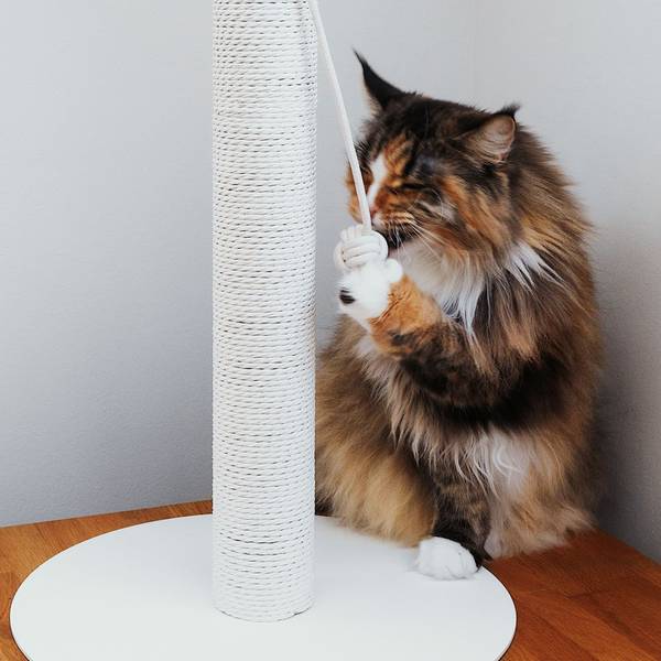 Kratzsäule PAPERPOLE Weiß