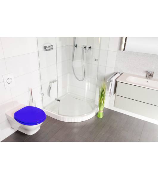 WC-Sitz Blau Blau - Holzwerkstoff - 38 x 6 x 48 cm