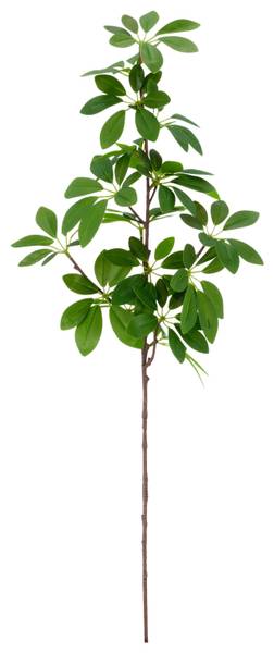 Schefflera SCHEFFERAZWEIG II Grün - Holzwerkstoff - 1 x 1 x 1 cm
