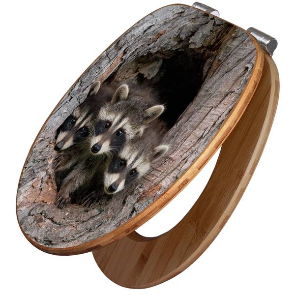 WC-Sitz mit Absenkautomatik Drei Waschbä Braun - Bambus - Holzwerkstoff - 38 x 5 x 49 cm