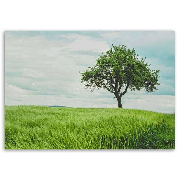 Wandbild baum auf dem feld 60 x 40 cm